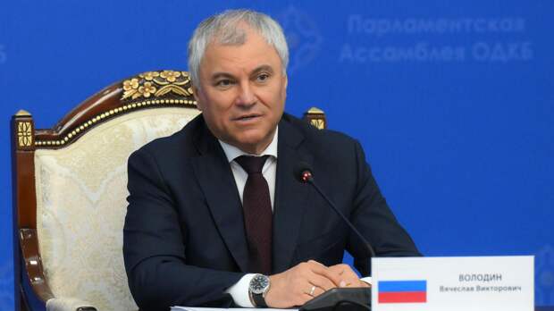 Володин: Заявления Каллас говорят о ее невежестве