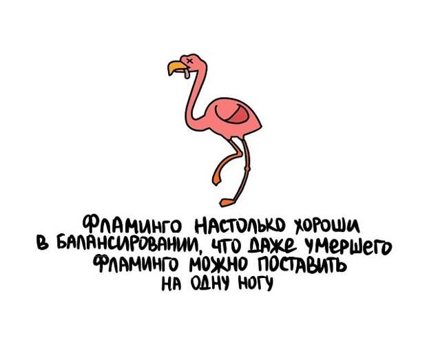 Интересные и короткие факты на все случаи жизни