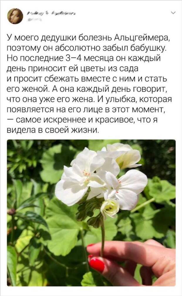 18 мужчин с большим сердцем, у которых стоит поучиться искусству романтики