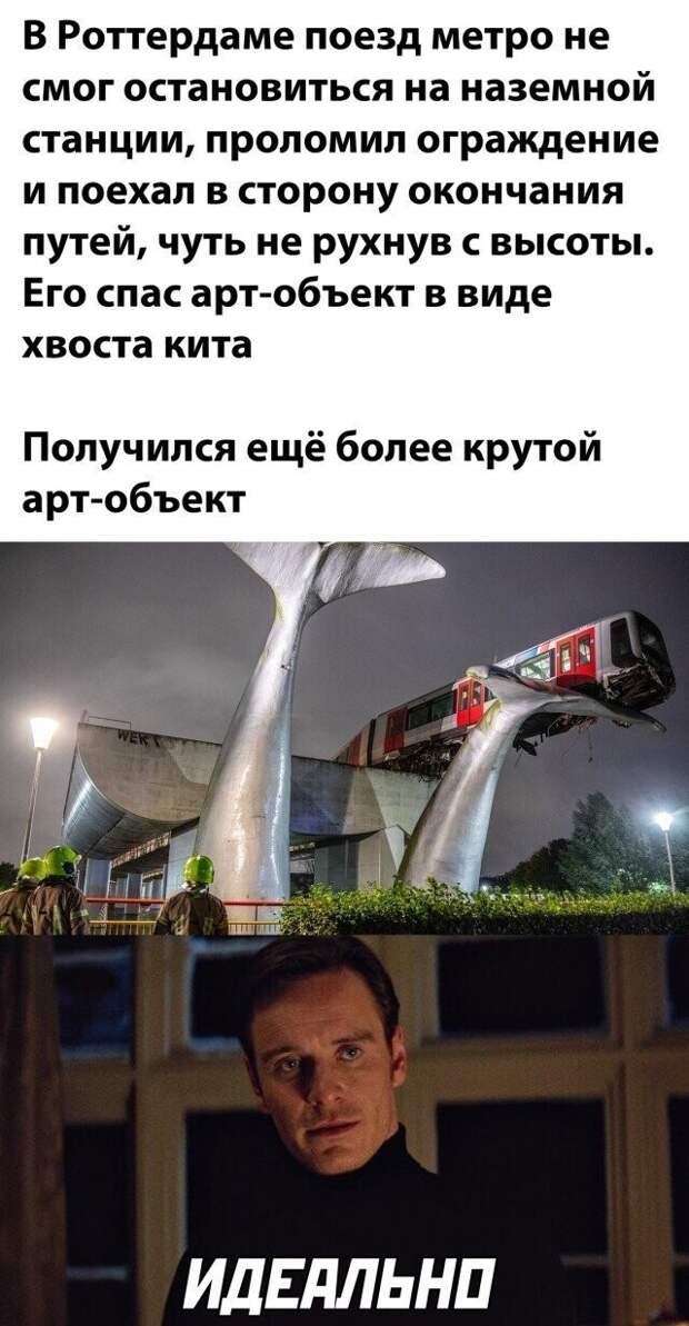45 смешных фото для тех, кто внезапно загрустил