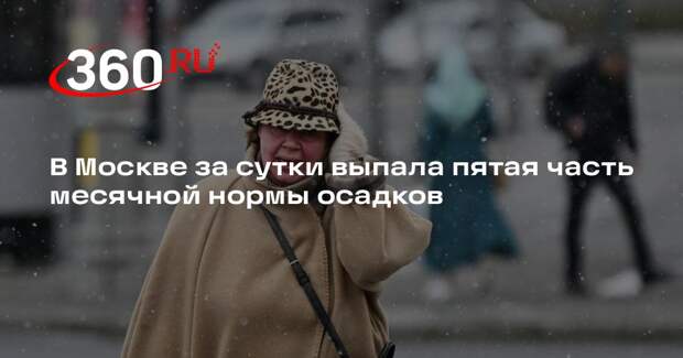 В Москве за сутки выпала пятая часть месячной нормы осадков