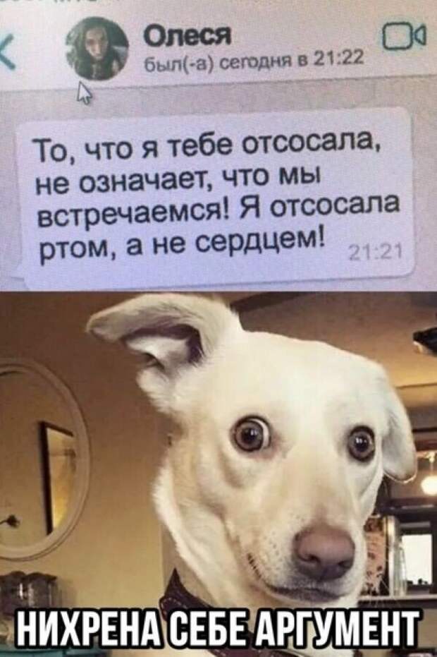 Смешные картинки из соц сетей (27 фото)