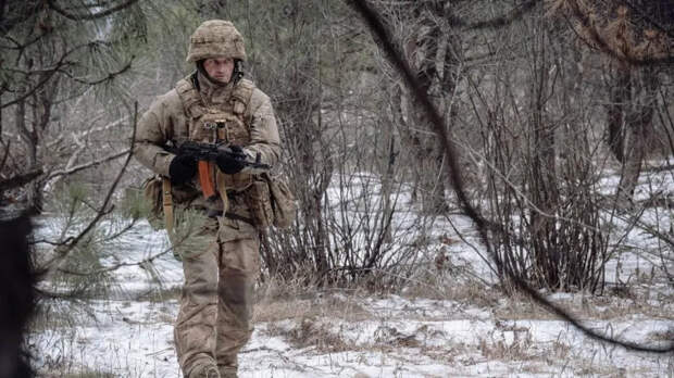 Территория ЛНР полностью освобождена от боевиков ВСУ