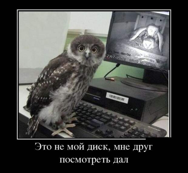 Смешные демотиваторы на утро (11 фото) Смешные демотиваторы на утро (11 фото)