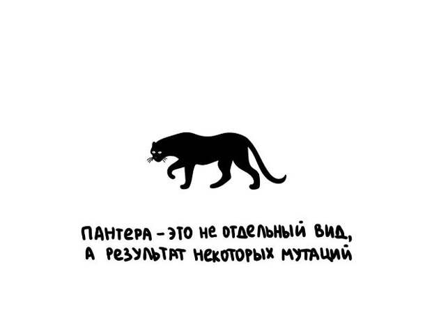 Короткие интересные факты обо всём