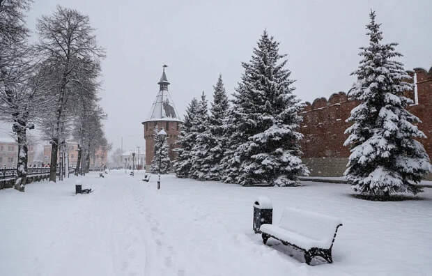 Придет потепление: синоптик Ильин рассказал о погоде в Тульской области с 26 по 30 января