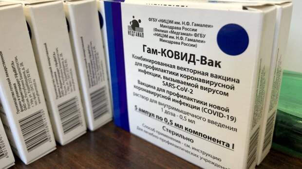 Гинцбург заявил о 75% эффективности вакцины «Спутник V» против штамма «Омикрон»