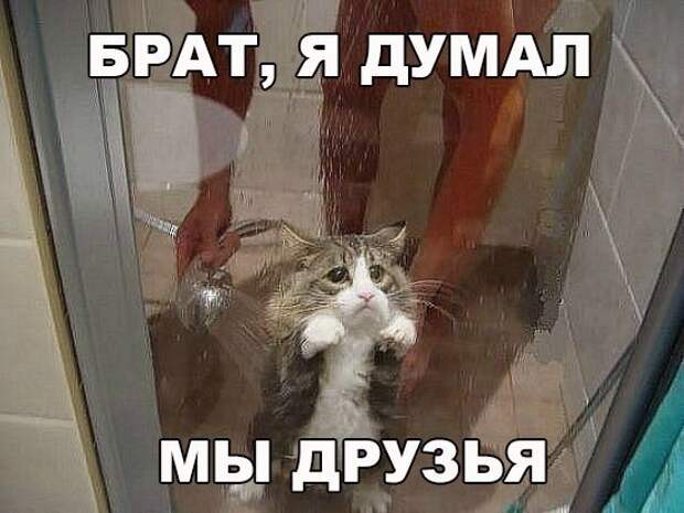 DKREmloShcU