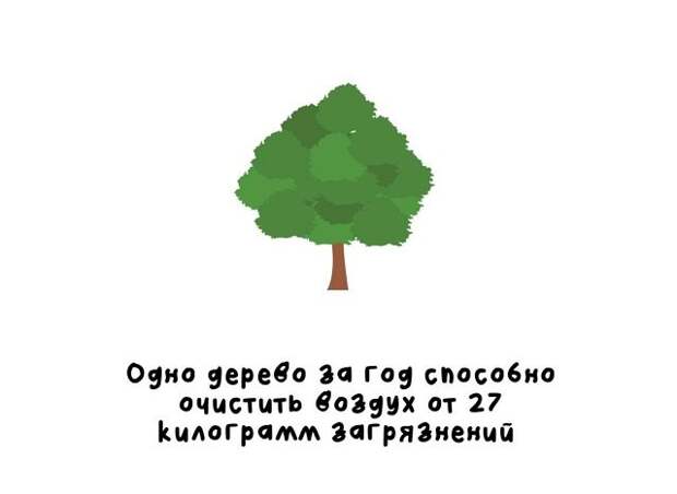 Короткие интересные факты обо всём