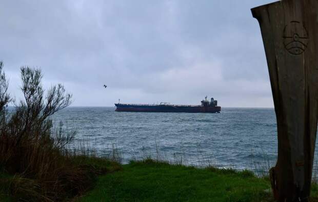 По Ормузскому проливу смогли пройти китайские супертанкеры