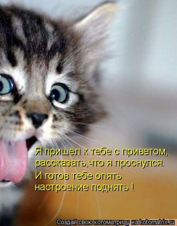 Мысли вслух :)