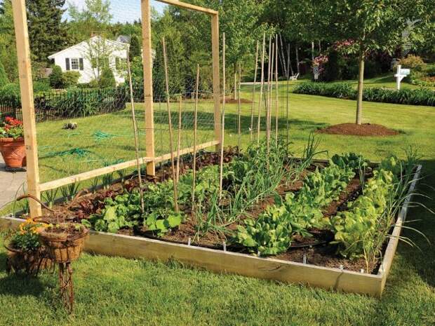 gardendecor.us Грядки со шпалерами