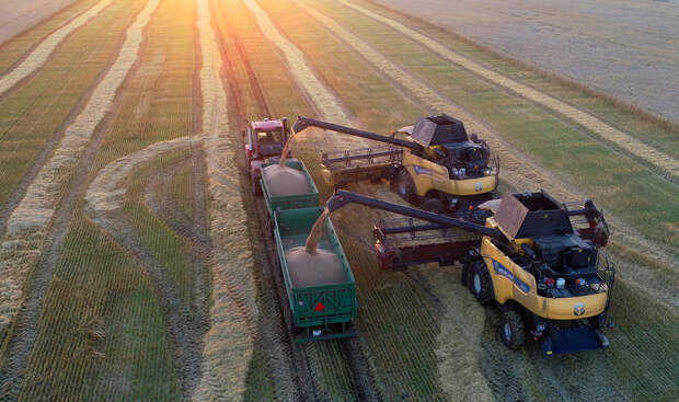 Ключевой партнер России резко снизил закупки ее пшеницы