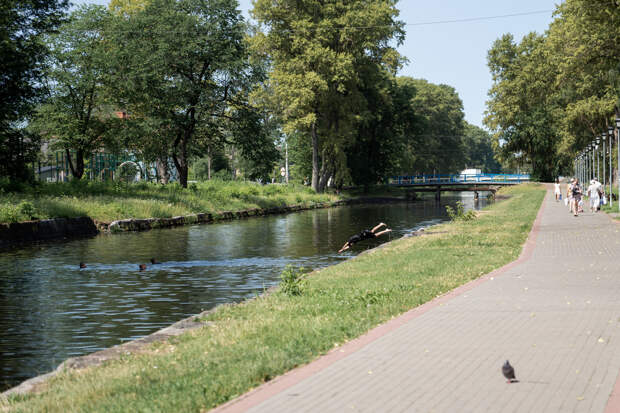 Тверской области
