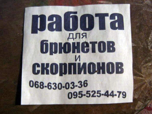 Ну, они хотя бы точно знают, кого ищут! | Фото: Аграрный форум. Ну, они хотя бы точно знают, кого ищут! | Фото: Аграрный форум.