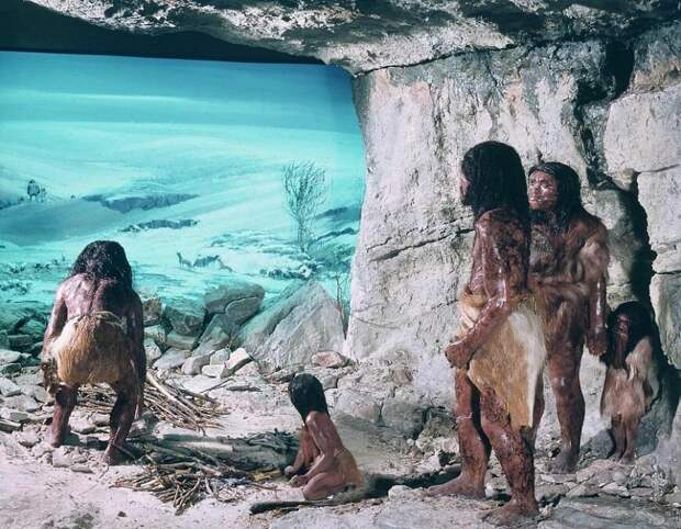 Источник: https://glas.ru/science/7721-drevnjaja-dnk-vpervye-izvlechena-iz-okamenelostej-neandertalcev-gibraltara.html