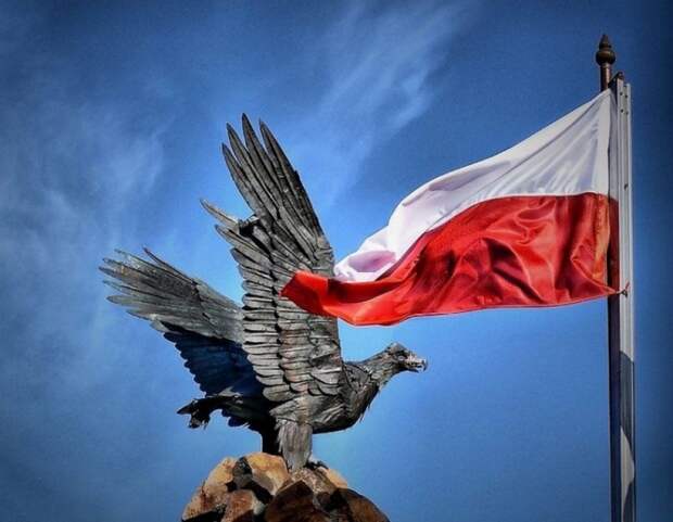 «Не только глупо, но и смертельно опасно»: В Госдуме предостерегли Польшу от конфликта с Россией