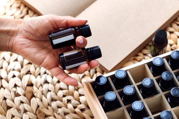 Найдено природное средство для поддержки работы мозга