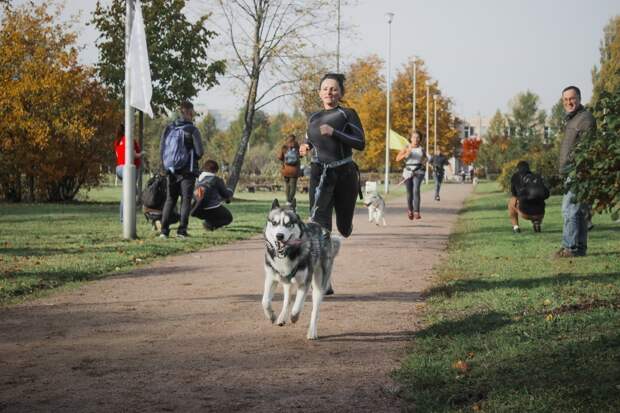 В Петербурге 18 мая пройдет благотворительный забег с собаками «Необыкновенный кросс»
