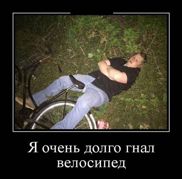 Демотиваторы (30 фото)