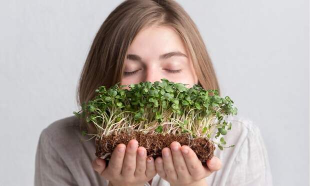 Биохимик Дивинская составила рейтинг полезной микрозелени и дикоросов
