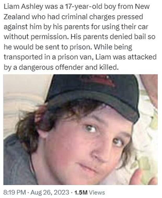 photo_2023-08-27_20-14-16 photo_2023-08-27_20-14-16