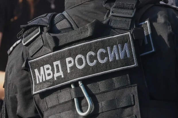 Подполковник МВД сказал, зачем привлекли женщину к покушению на Алексеева