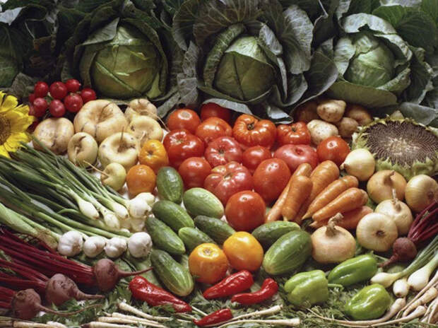 Осенью Россия может недополучить треть урожая овощей и фруктов