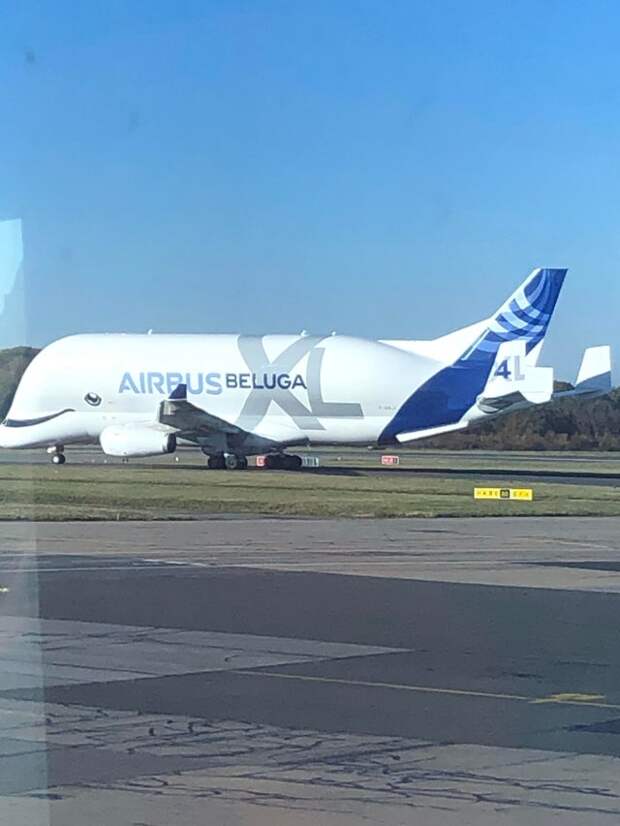 Гигантский транспортный самолет Airbus Beluga
