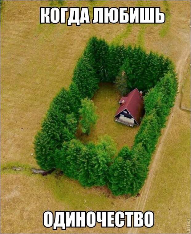 Фотоподборка