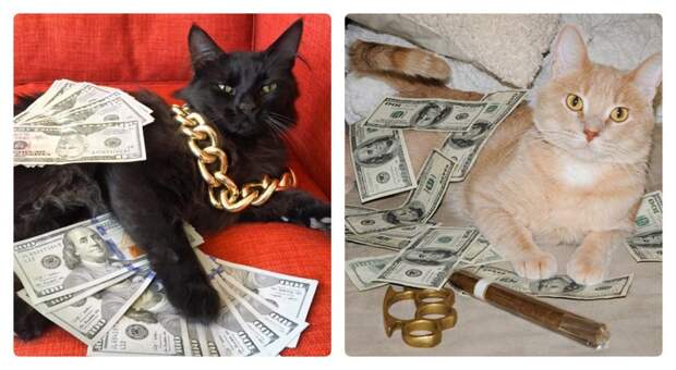 Карты, деньги, два ствола — 20 фото гангстакотиков