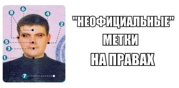 Неофициальные метки на водительском удостоверении и что они означают