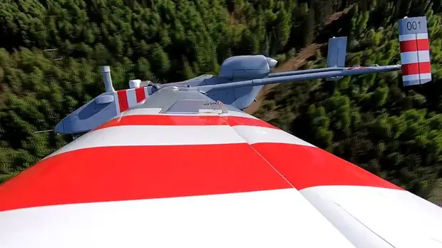 Многофункциональные аппараты: в чём специфика российских «лесных» дронов-поисковиков