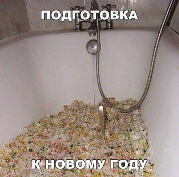 Смешные новогодние фото