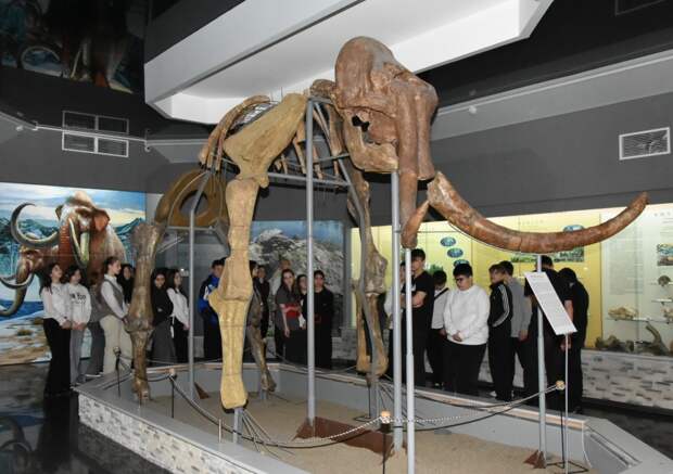 Школьники из ОЦ № 9 х. Северо-Восточные сады провели незабываемый «Один день в музее»!