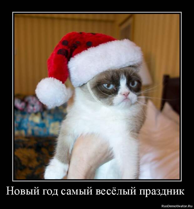 Похожее изображение