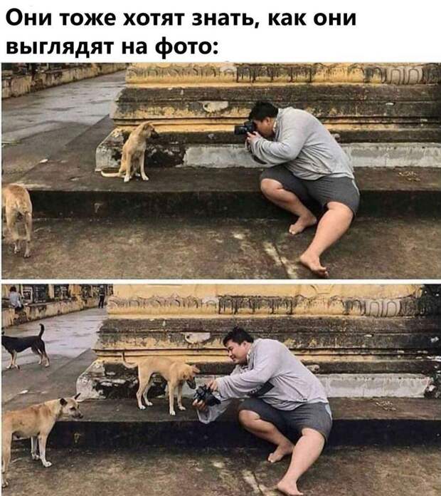 прикольные картинки ржачные (21)
