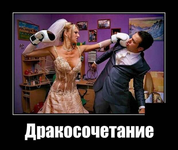 Демотиваторы 24 августа 2021 года