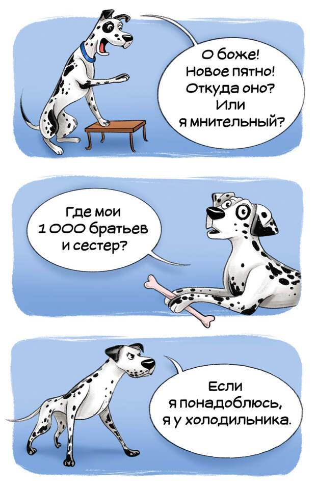 Честный гид по породам собак от первого лица (Часть 2-я)