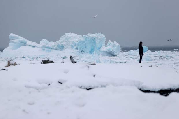 NYT: Трамп предложил запретить России и Китаю добычу в Гренландии