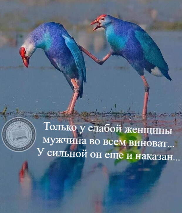 Виноватый муж