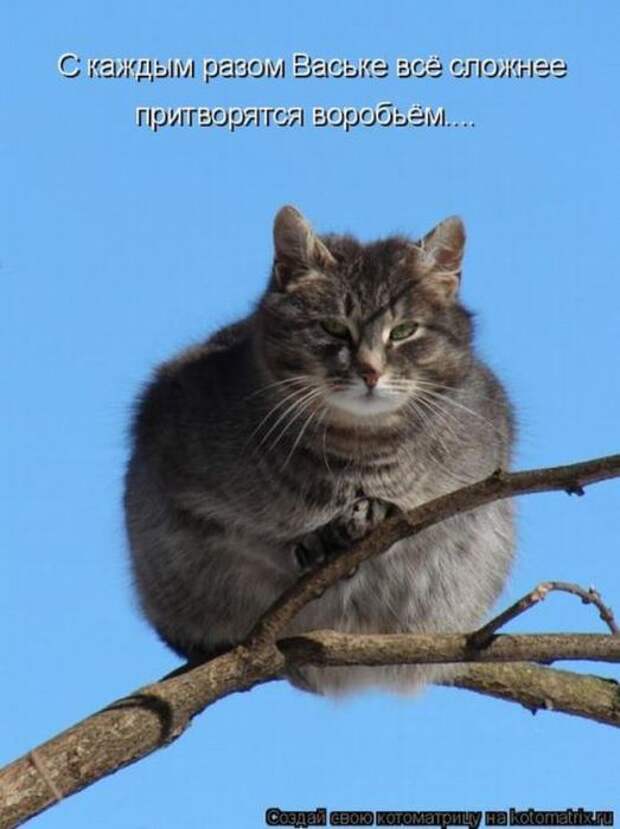 Мысли вслух :)