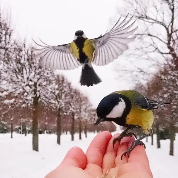 ����� - ��������� �����..., ��� ��������� ��������