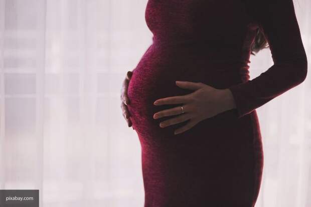 Юрист рассказала, кто может получить новые выплаты по беременности в России