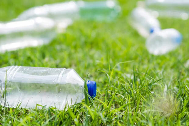 Забудьте про лейку: бутылочный автополив спасет урожай, пока вы в городе