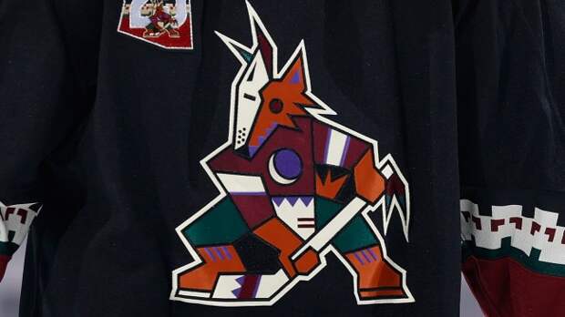 Arizona Coyotes jersey