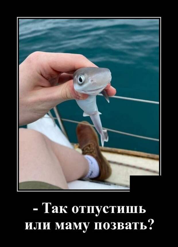 www.vsyako.net