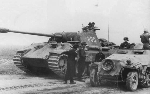 Хищная кошка Вермахта Хищная кошка Вермахта война, история, факты