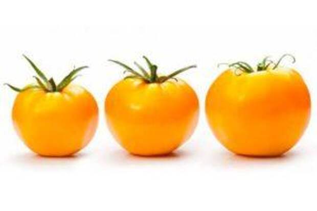 Желтые сорта помидоров с описанием и характеристиками для теплиц и открытого грунта