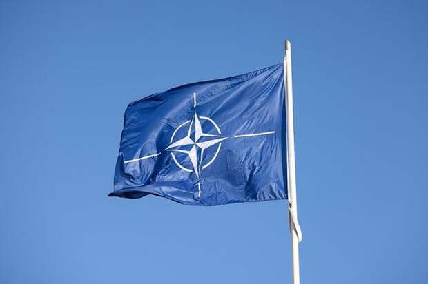 Петр Павел: саммит НАТО в июле не примет решения о членстве Украины в альянсе
